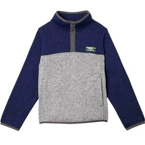 LL BEAN gray blue color block pullover better sweater snap t collar size L 14